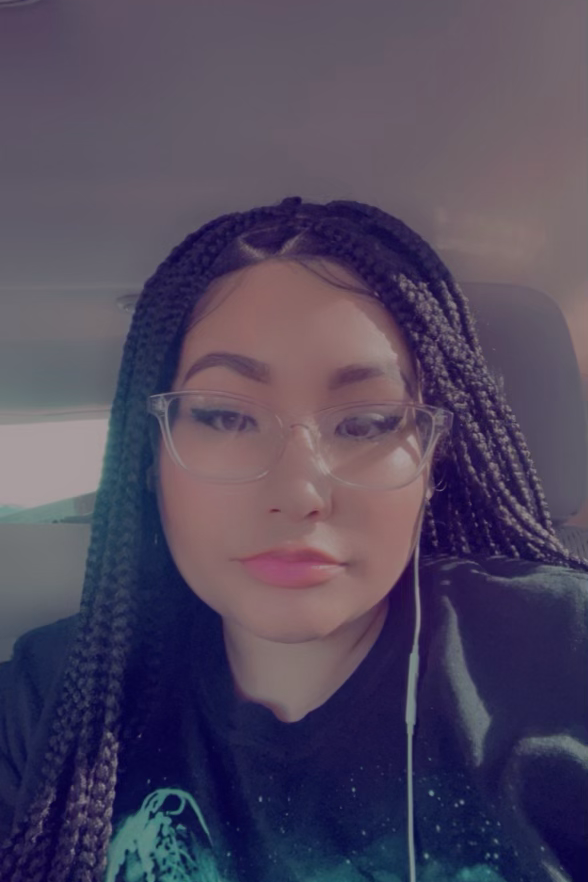 Braided Box Braids